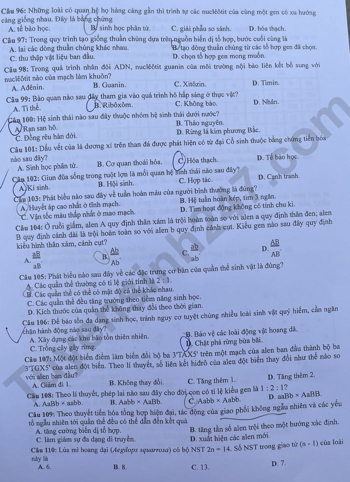 de thi tot nghiep thpt 2023 mon sinh hoc ma de 224 hinh 2