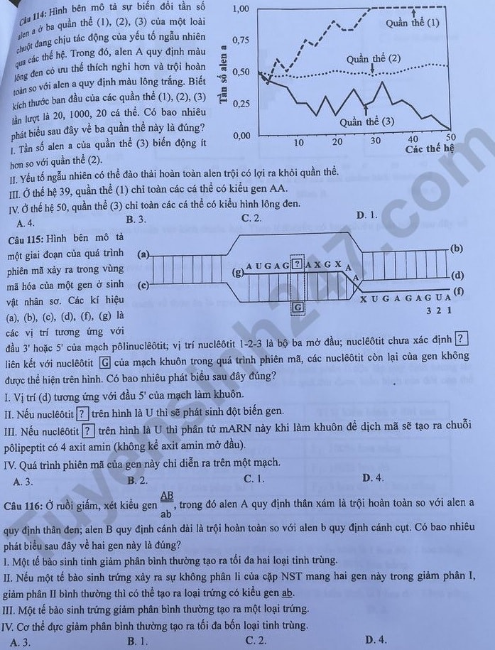 de thi tot nghiep thpt 2023 mon sinh hoc ma de 224 hinh 4