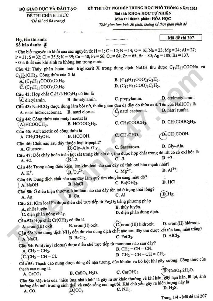 de thi tot nghiep thpt 2023 mon hoa hoc ma de 207 hinh 1