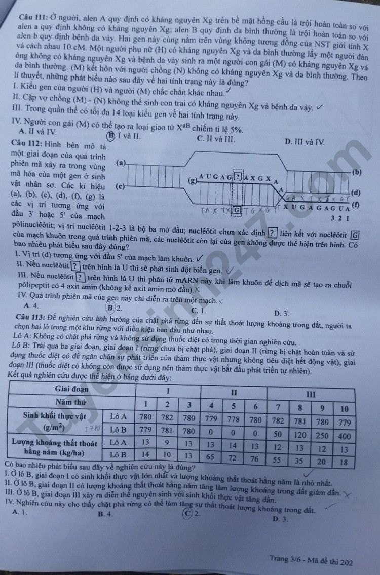 de thi tot nghiep thpt 2023 mon sinh hoc ma de 202 hinh 3