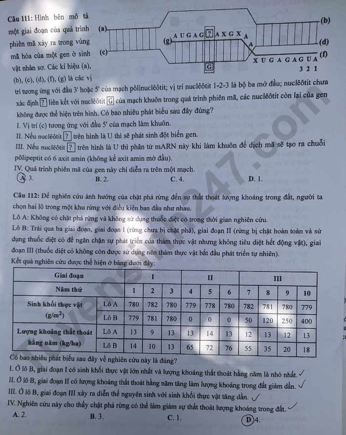 de thi tot nghiep thpt 2023 mon sinh hoc ma de 204 hinh 3