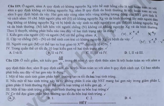 de thi tot nghiep thpt 2023 mon sinh hoc ma de 204 hinh 6