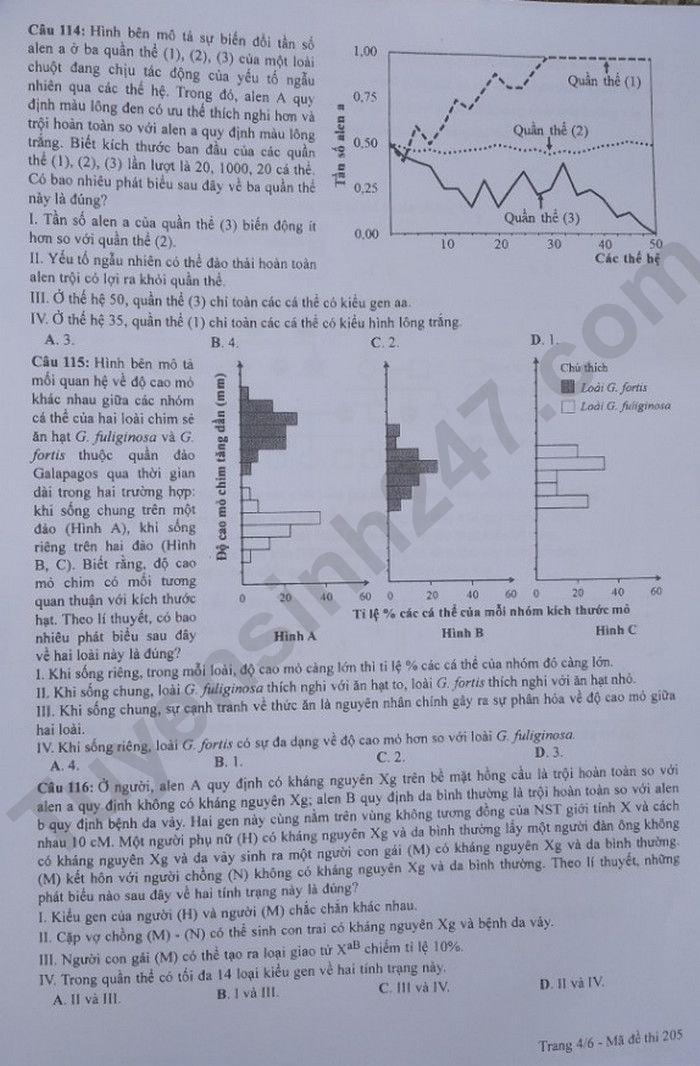 de thi tot nghiep thpt 2023 mon sinh hoc ma de 205 hinh 4