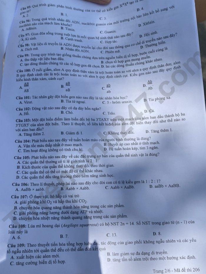de thi tot nghiep thpt 2023 mon sinh hoc ma de 206 hinh 2