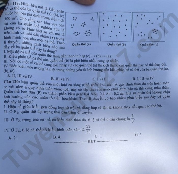 de thi tot nghiep thpt 2023 mon sinh hoc ma de 206 hinh 6