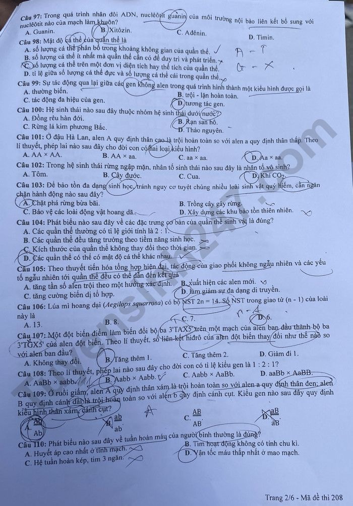 de thi tot nghiep thpt 2023 mon sinh hoc ma de 208 hinh 2