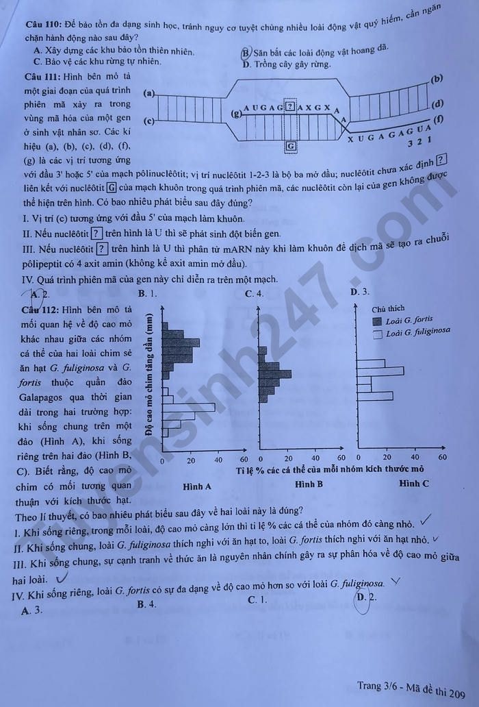 de thi tot nghiep thpt 2023 mon sinh hoc ma de 209 hinh 3