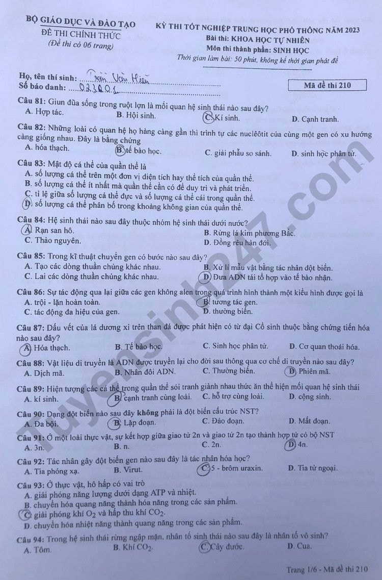 de thi tot nghiep thpt 2023 mon sinh hoc ma de 210 hinh 1