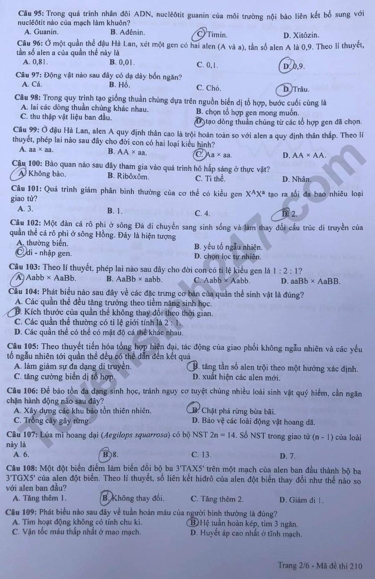 de thi tot nghiep thpt 2023 mon sinh hoc ma de 210 hinh 2