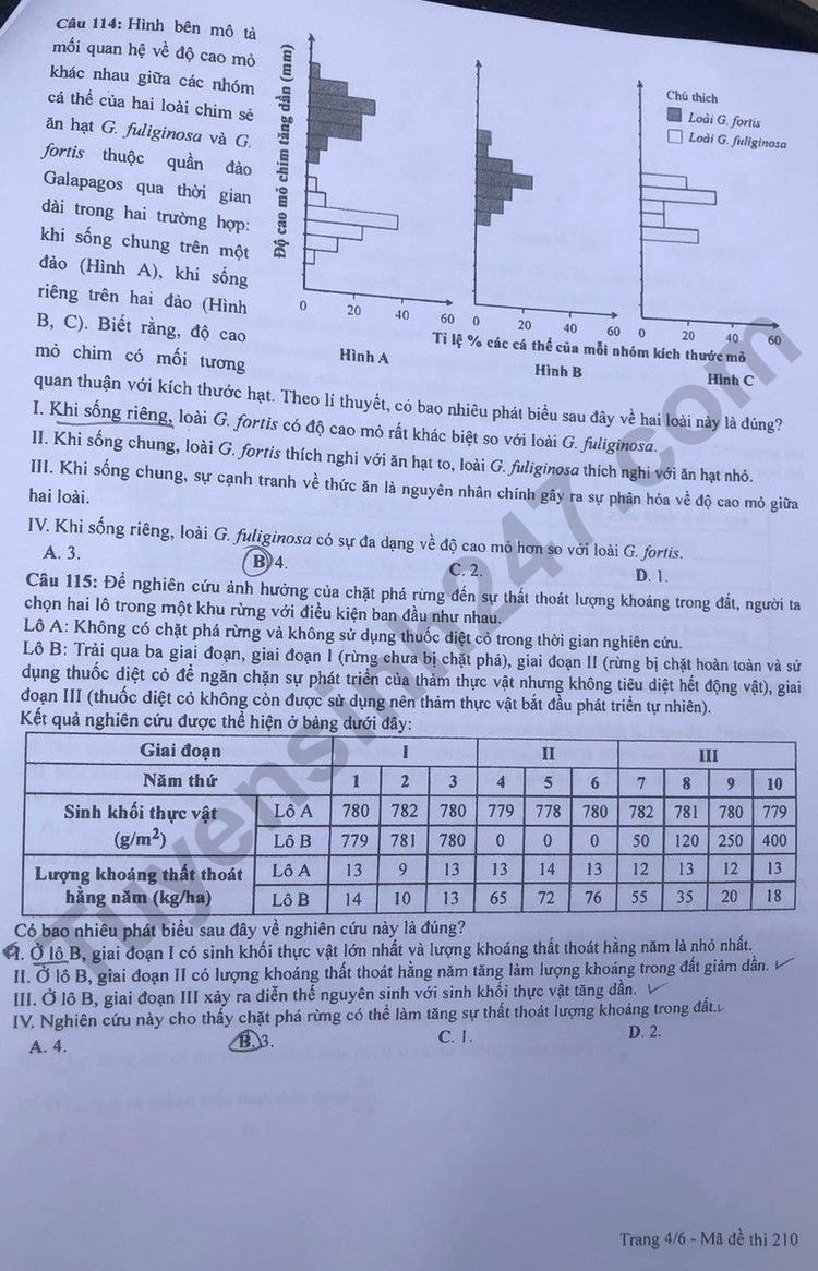 de thi tot nghiep thpt 2023 mon sinh hoc ma de 210 hinh 4