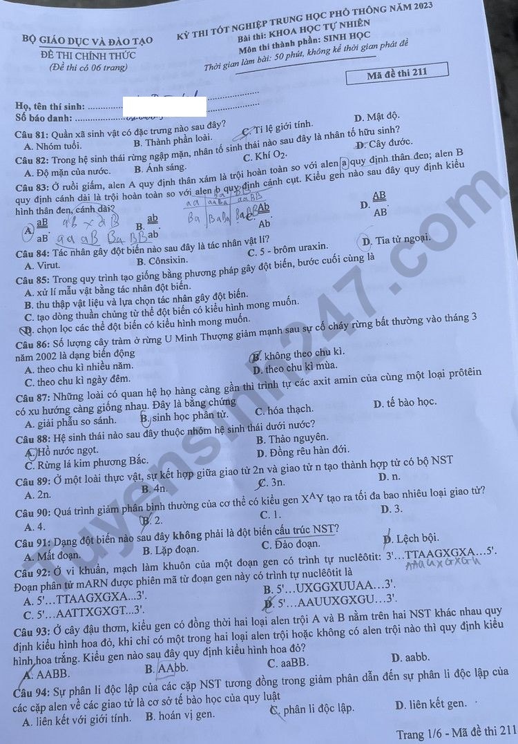 de thi tot nghiep thpt 2023 mon sinh hoc ma de 211 hinh 1
