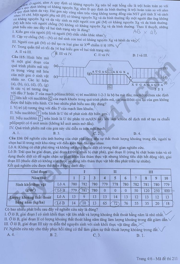 de thi tot nghiep thpt 2023 mon sinh hoc ma de 211 hinh 4