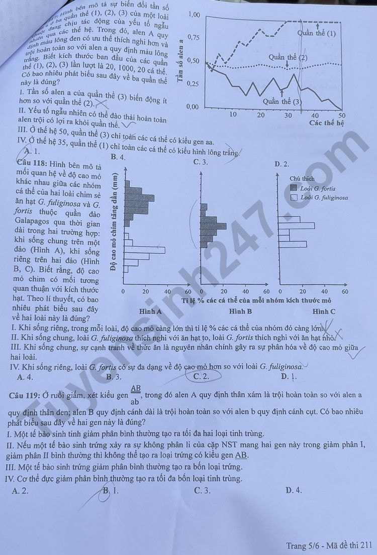 de thi tot nghiep thpt 2023 mon sinh hoc ma de 211 hinh 5