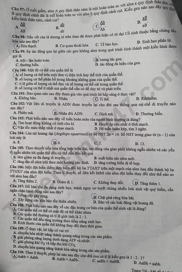 de thi tot nghiep thpt 2023 mon sinh hoc ma de 212 hinh 2