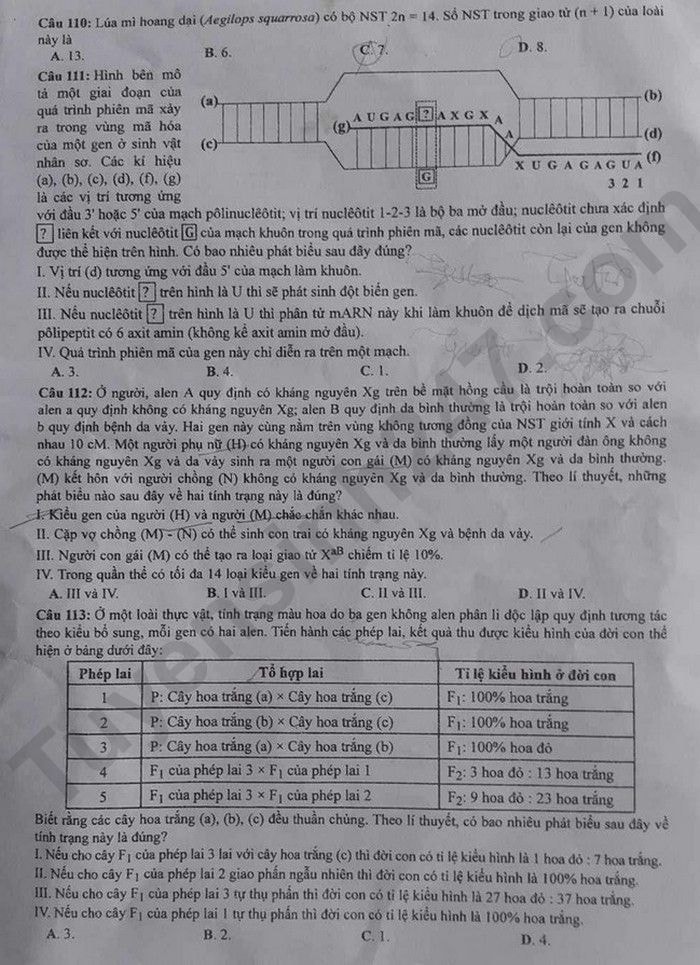 de thi tot nghiep thpt 2023 mon sinh hoc ma de 213 hinh 3