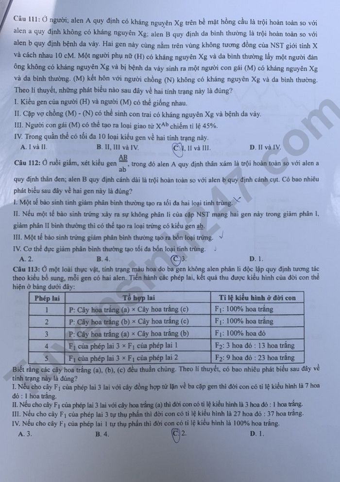 de thi tot nghiep thpt 2023 mon sinh hoc ma de 214 hinh 3
