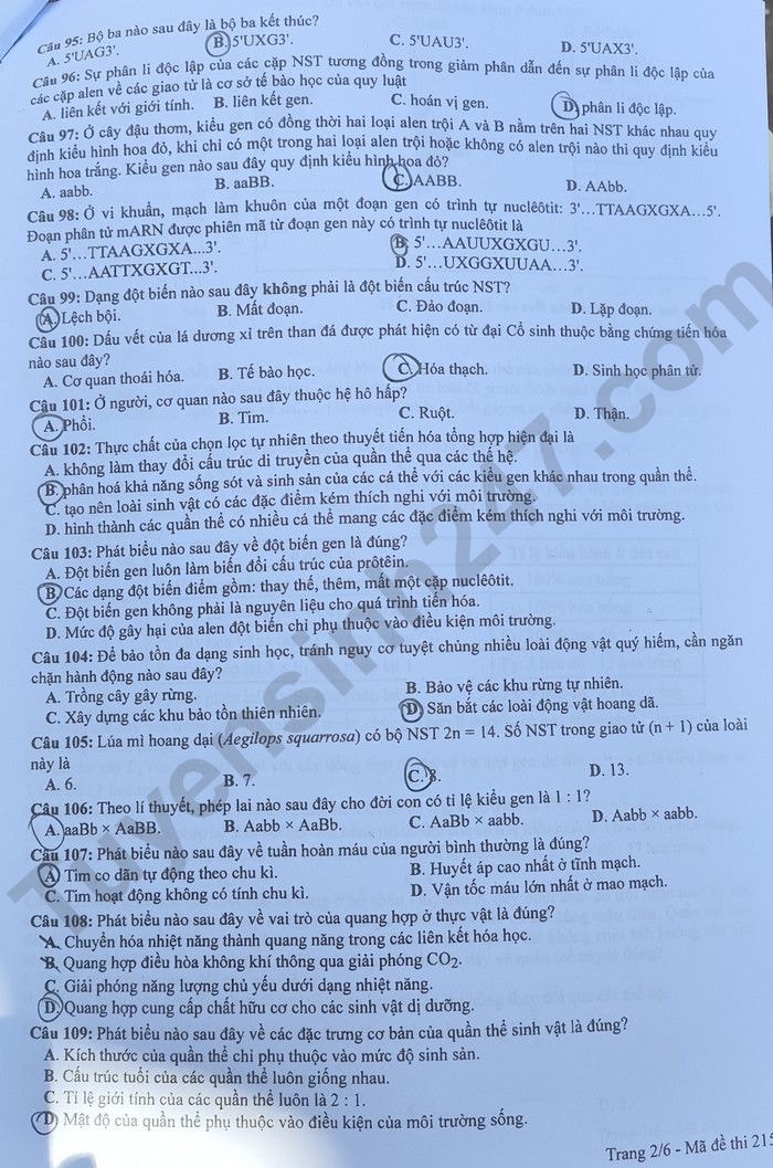 de thi tot nghiep thpt 2023 mon sinh hoc ma de 215 hinh 2