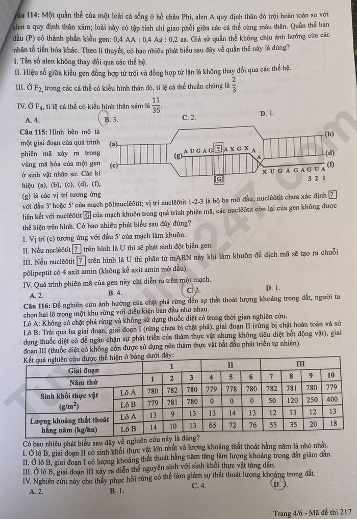 de thi tot nghiep thpt 2023 mon sinh hoc ma de 217 hinh 5