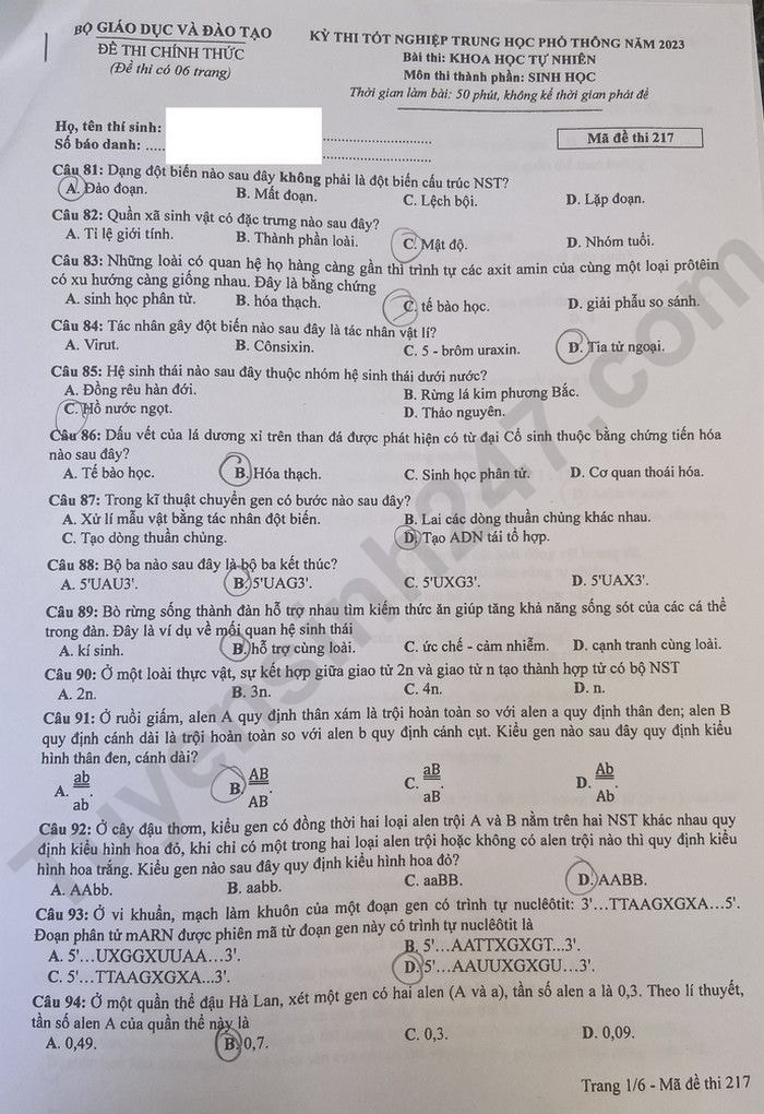de thi tot nghiep thpt 2023 mon sinh hoc ma de 217 hinh 1