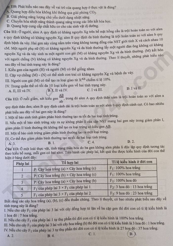de thi tot nghiep thpt 2023 mon sinh hoc ma de 217 hinh 4