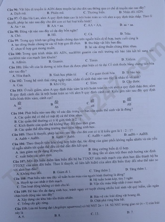 de thi tot nghiep thpt 2023 mon sinh hoc ma de 218 hinh 2