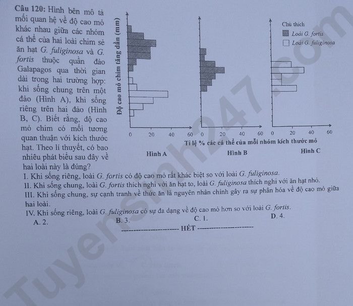 de thi tot nghiep thpt 2023 mon sinh hoc ma de 218 hinh 6