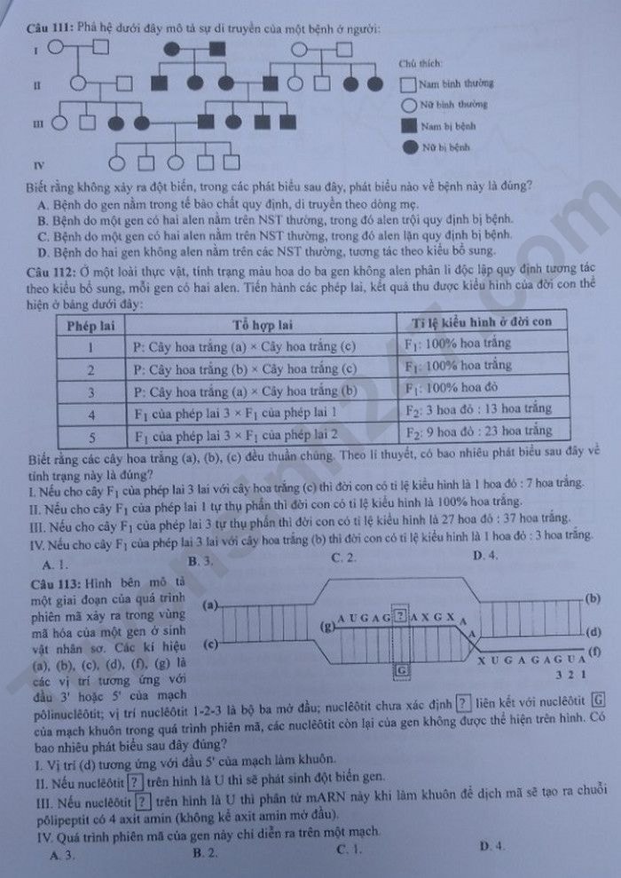 de thi tot nghiep thpt 2023 mon sinh hoc ma de 218 hinh 3