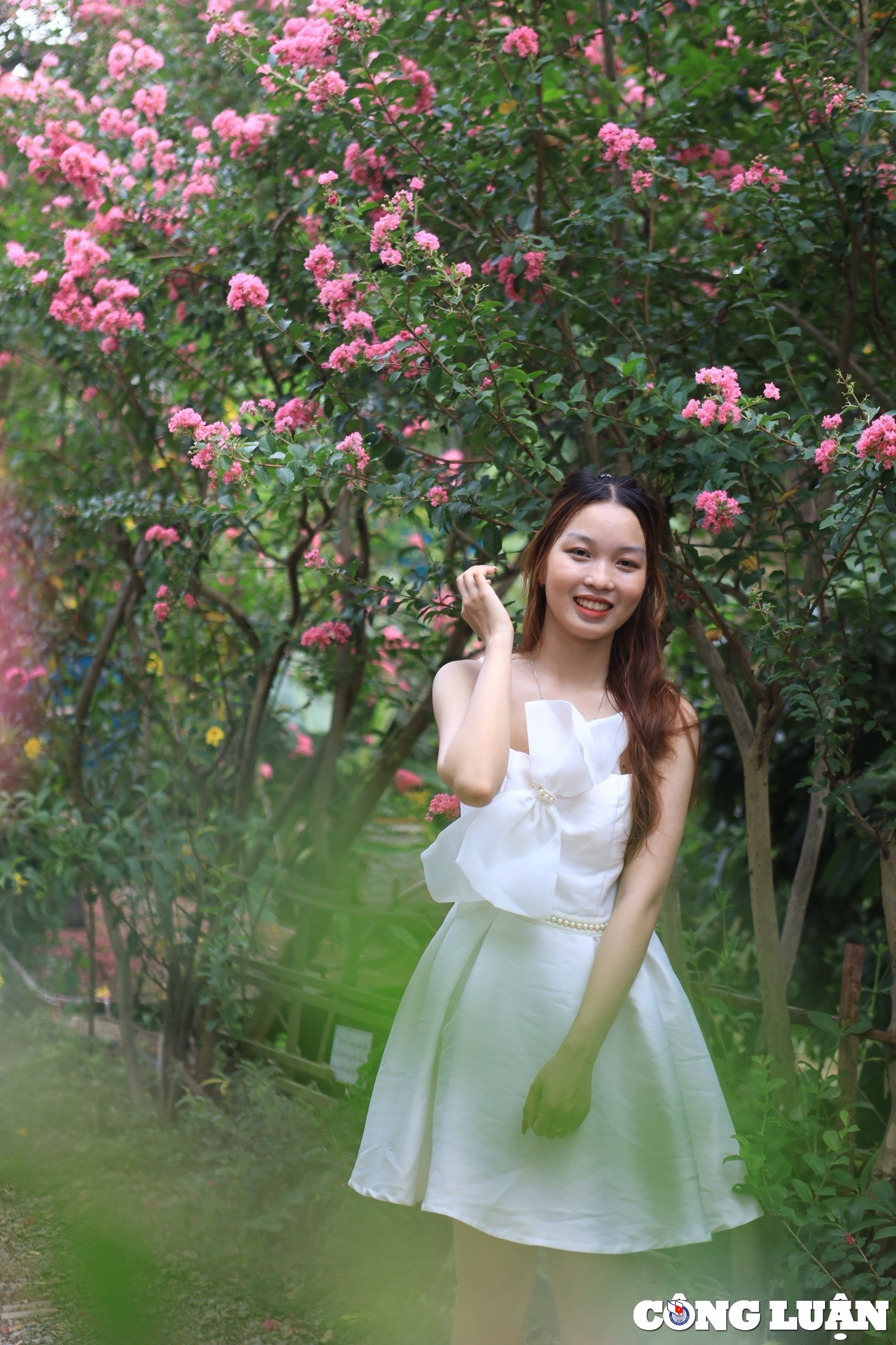 gioi tre ha noi dua nhau check in vuon hoa tuong vi sieu dep hinh 10
