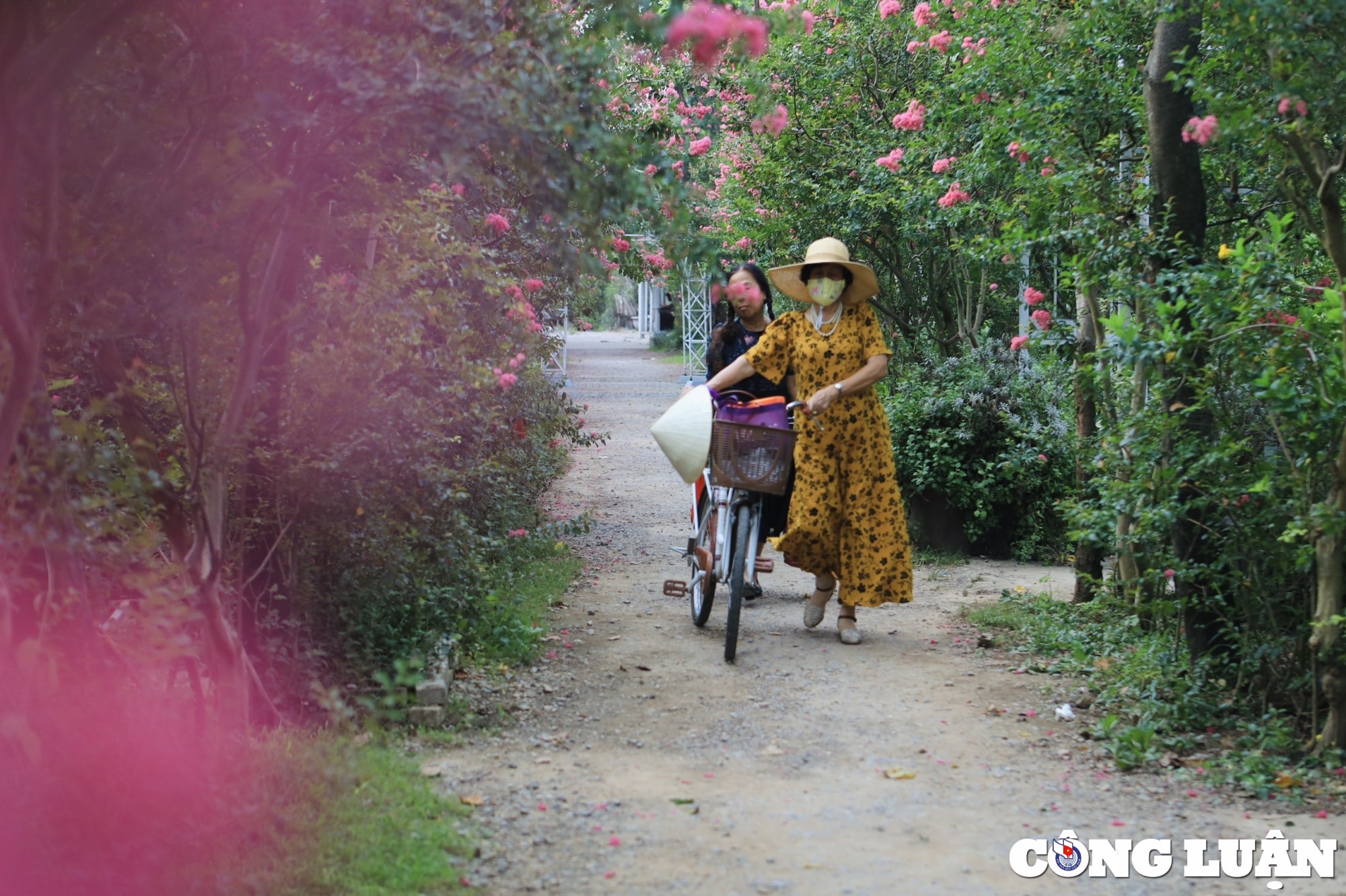 gioi tre ha noi dua nhau check in vuon hoa tuong vi sieu dep hinh 4