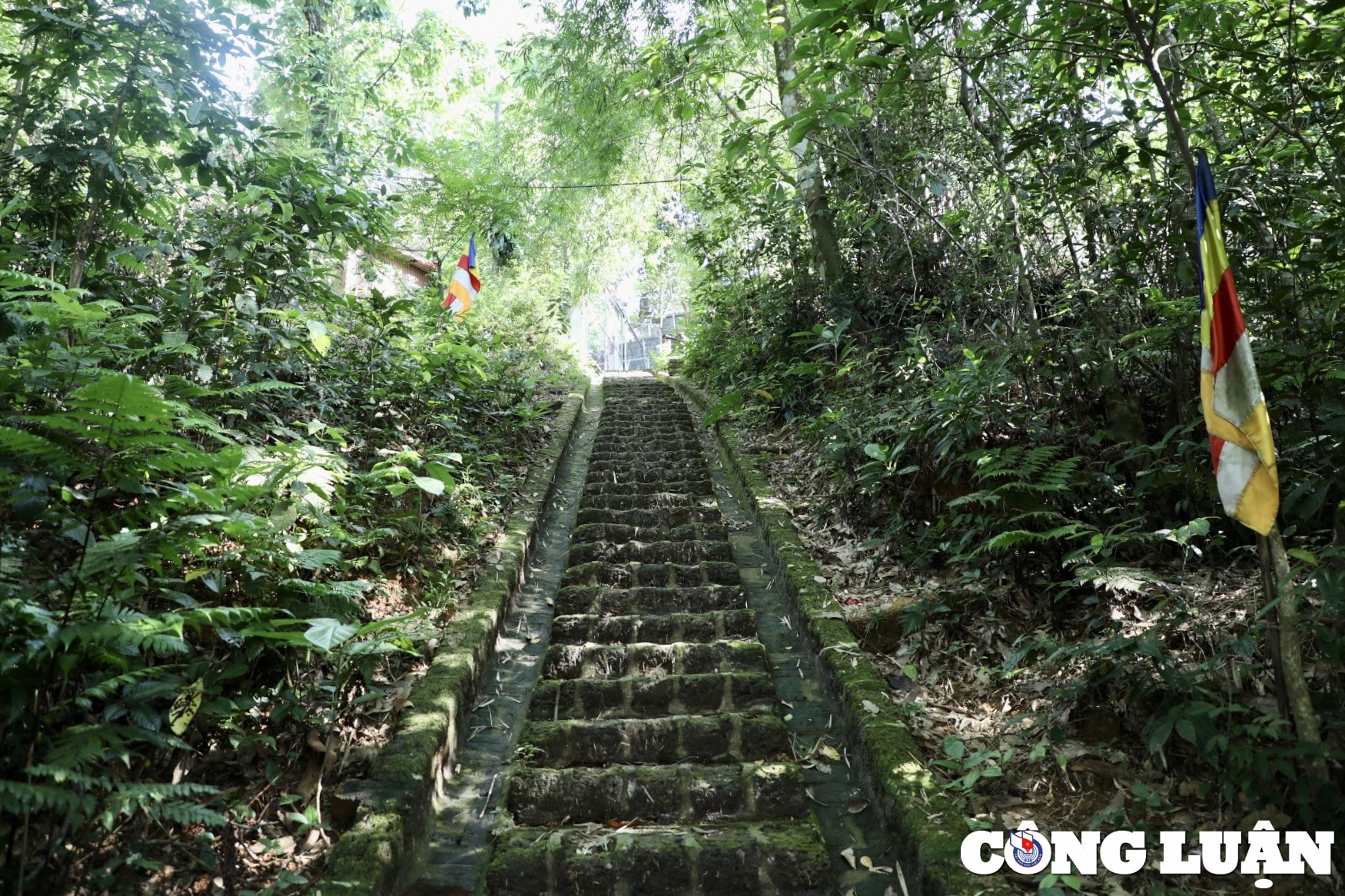 kham pha khong gian ngoi chua co 34 pho tuong la bao vat quoc gia o ha noi hinh 2