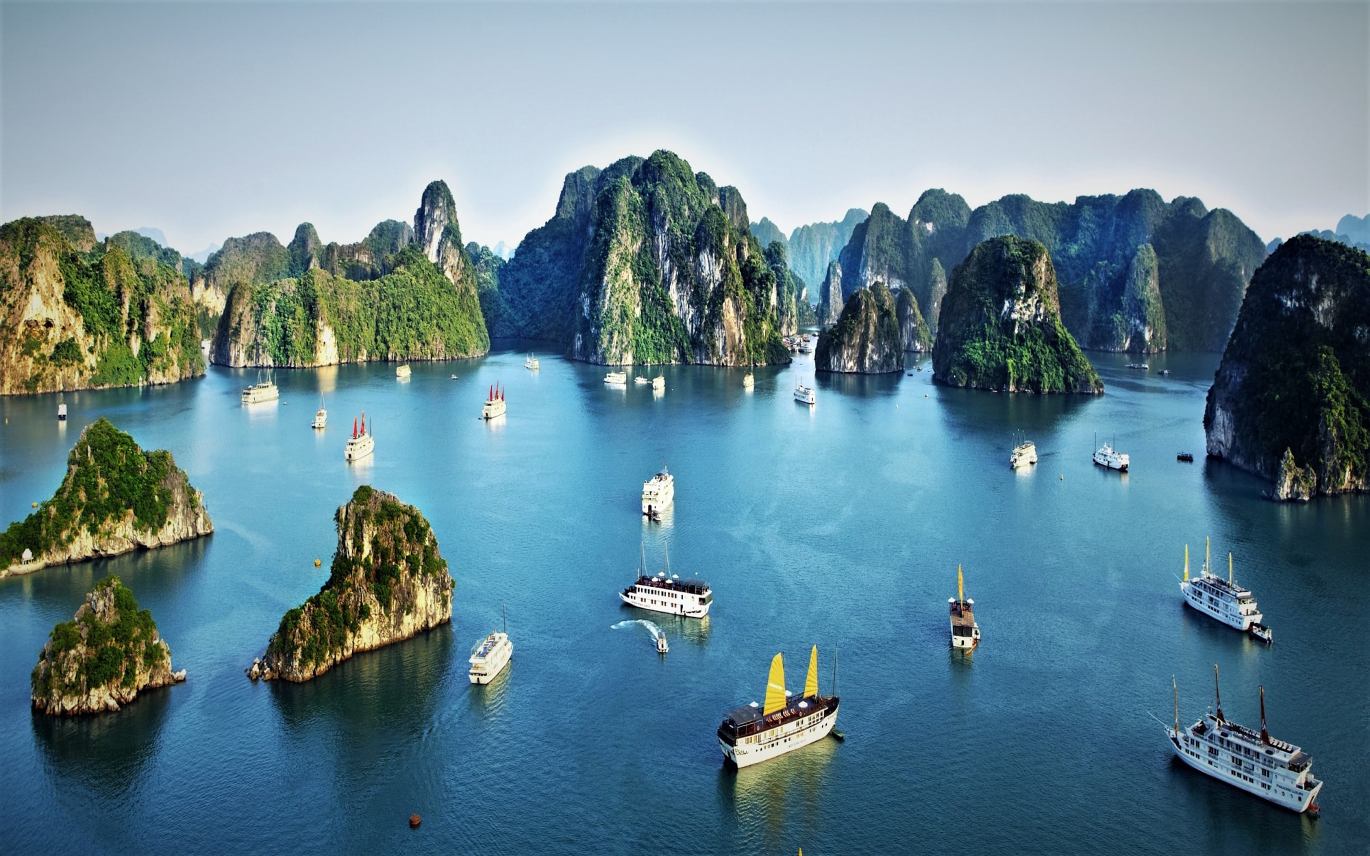 quang ninh mien ve tham quan vinh ha long cho nguoi khuyet tat hinh 1