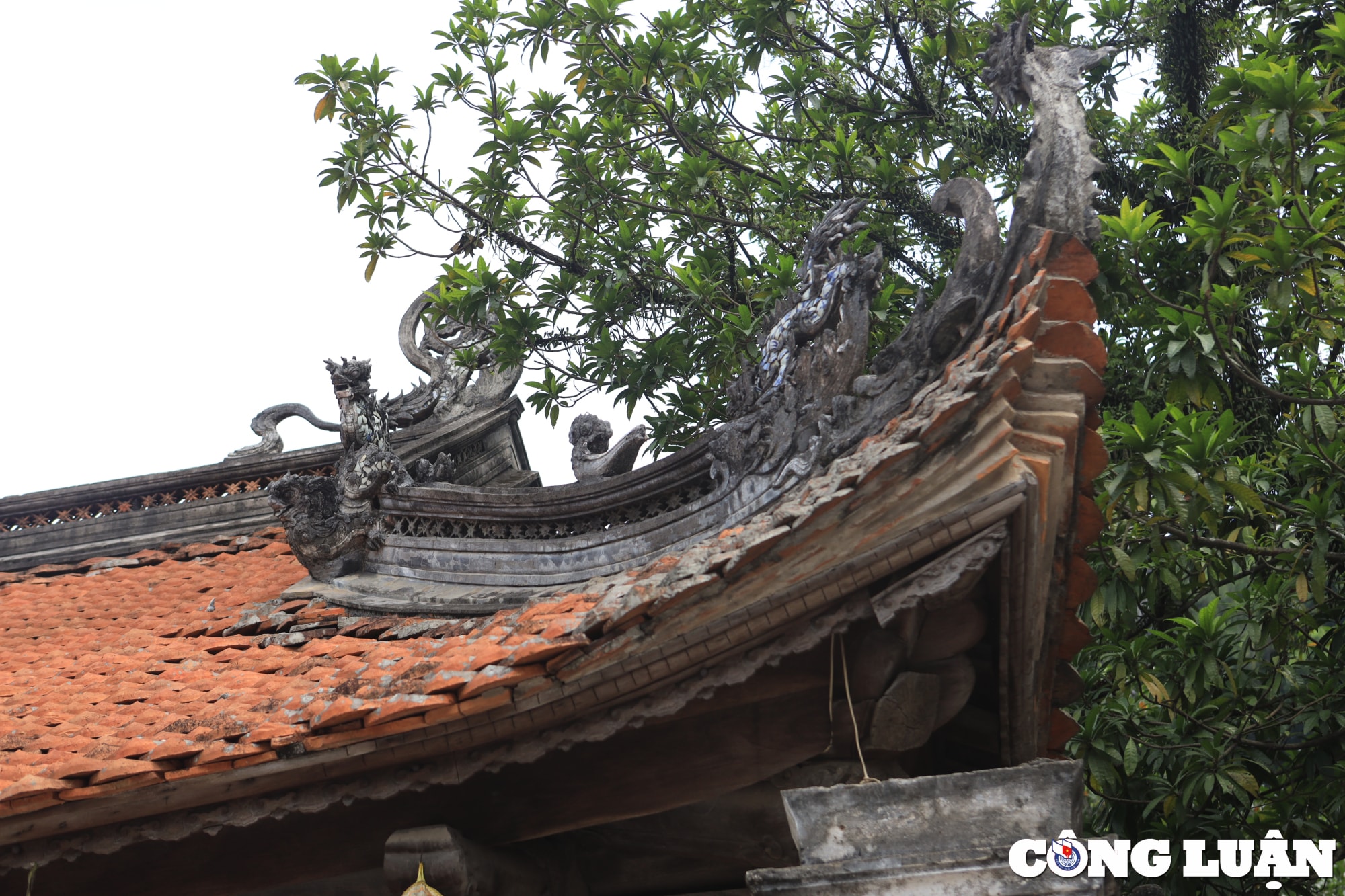 khong gian ngoi chua gan 1000 nam tuoi co kinh nhat tai ha noi hinh 9