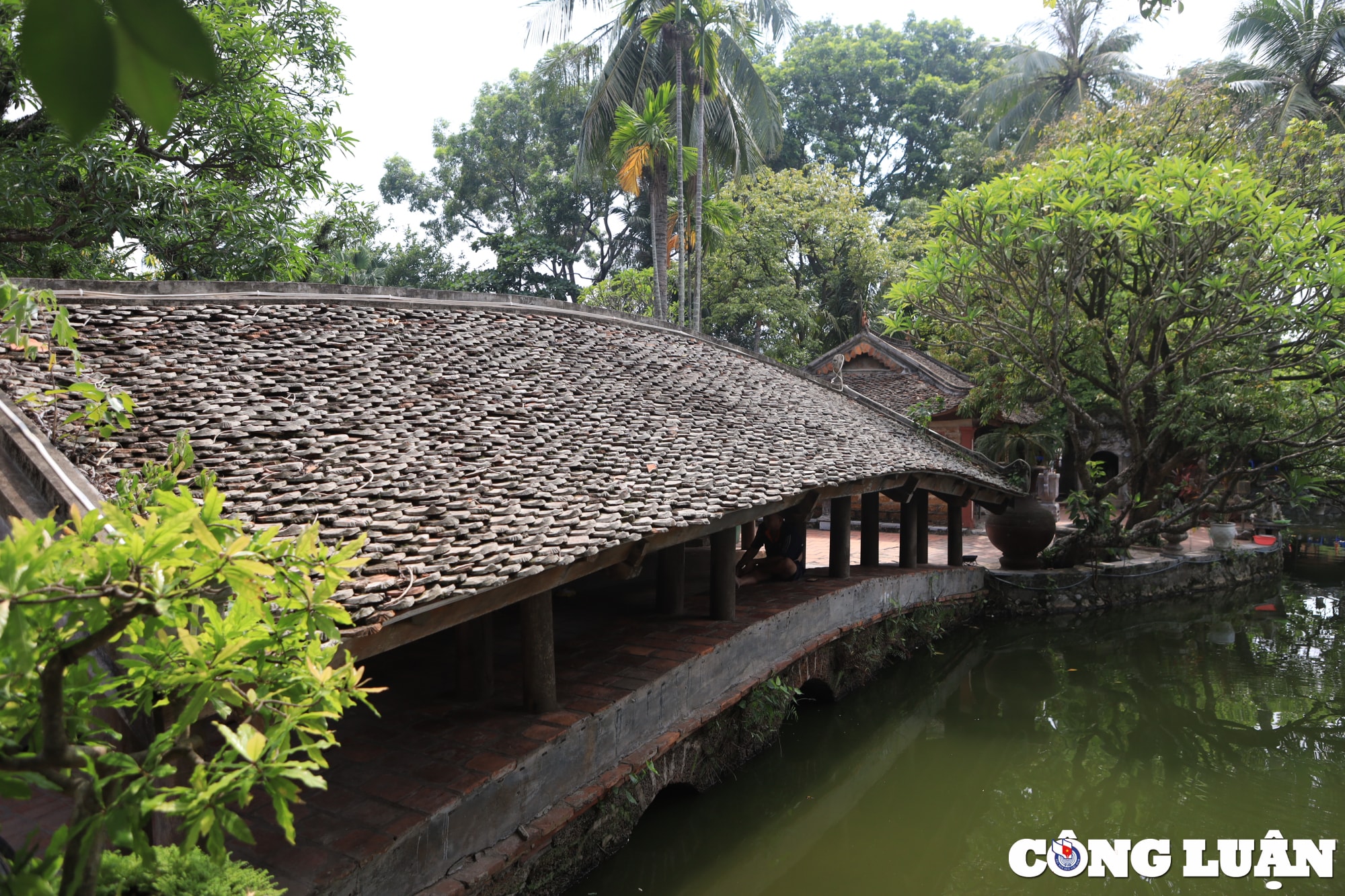 khong gian ngoi chua gan 1000 nam tuoi co kinh nhat tai ha noi hinh 6