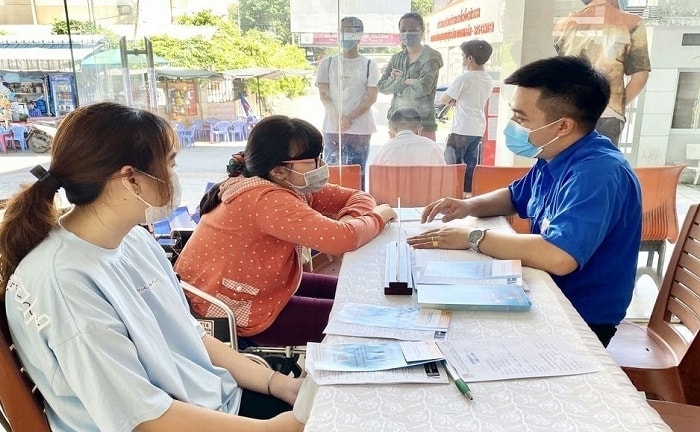 ha noi da giai quyet viec lam cho tren 132 nghin lao dong hinh 1