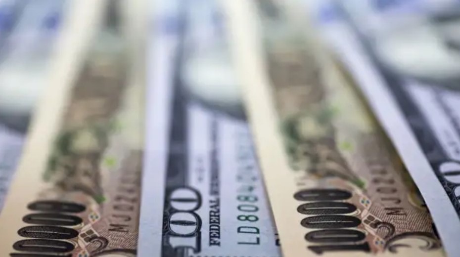 sau tau luon ty gia usd vnd sap tro lai moc 24000 dong hinh 2
