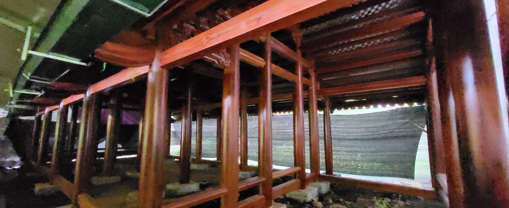 mau rung van chay o xu thanh hinh 11