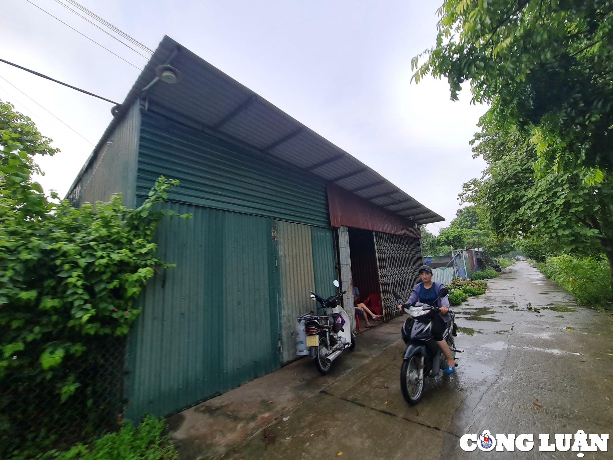 ung hoa ha noi vi pham tran lan tren dat nong nghiep ubnd xa hoa nam chua xu ly dut diem hinh 2