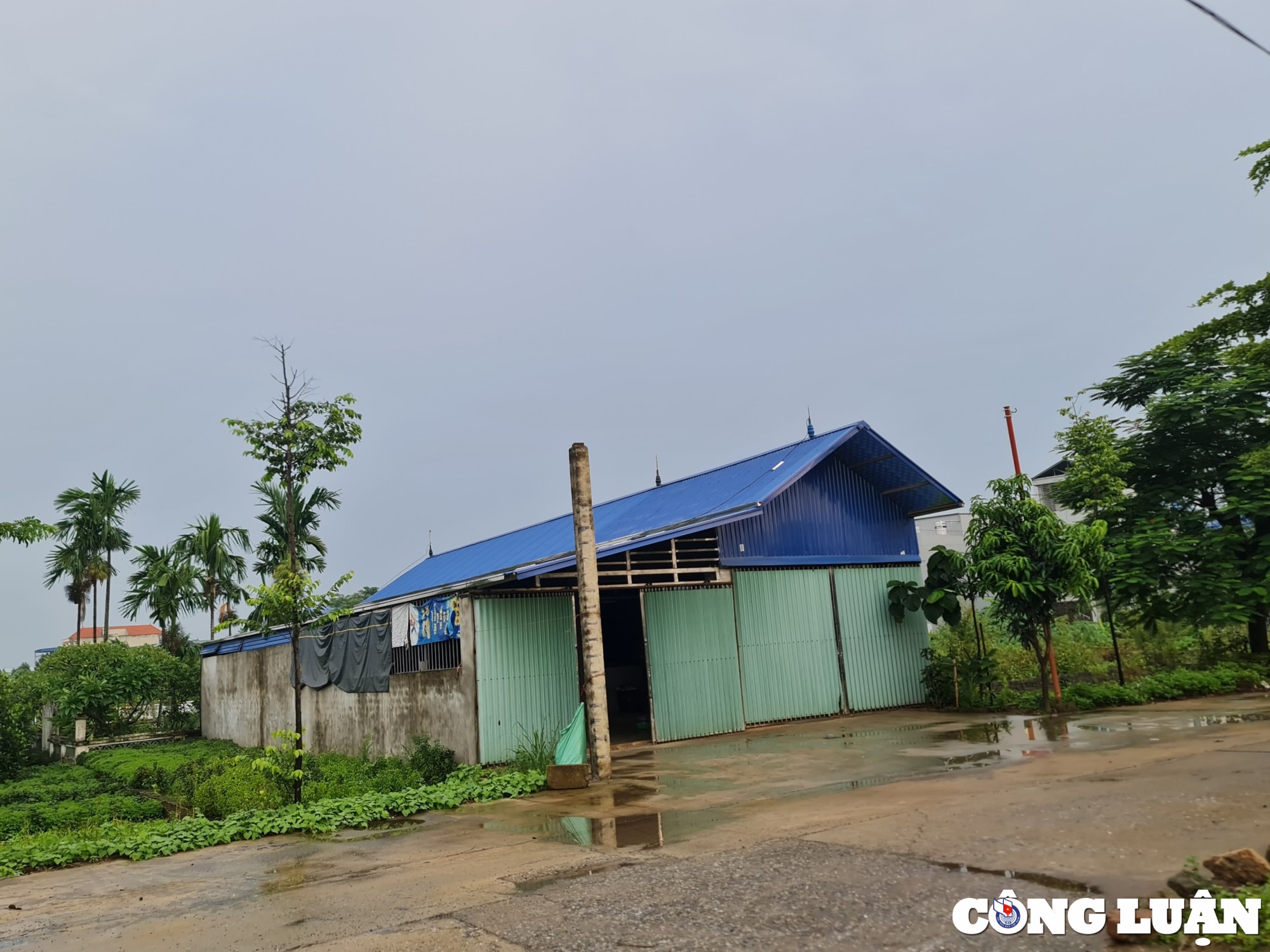 ung hoa ha noi vi pham tran lan tren dat nong nghiep ubnd xa hoa nam chua xu ly dut diem hinh 5