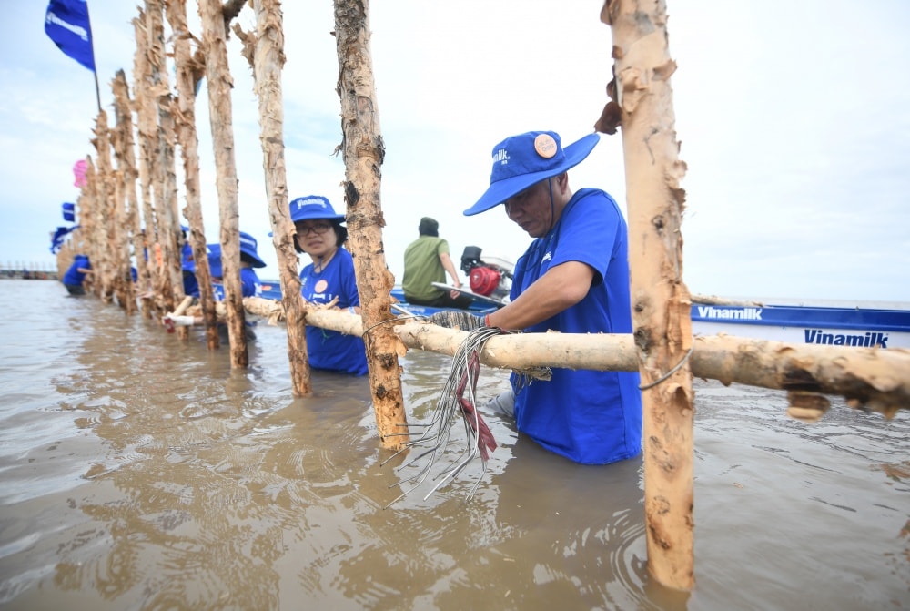 vinamilk day manh hinh thanh cac canh rung net zero hinh 3