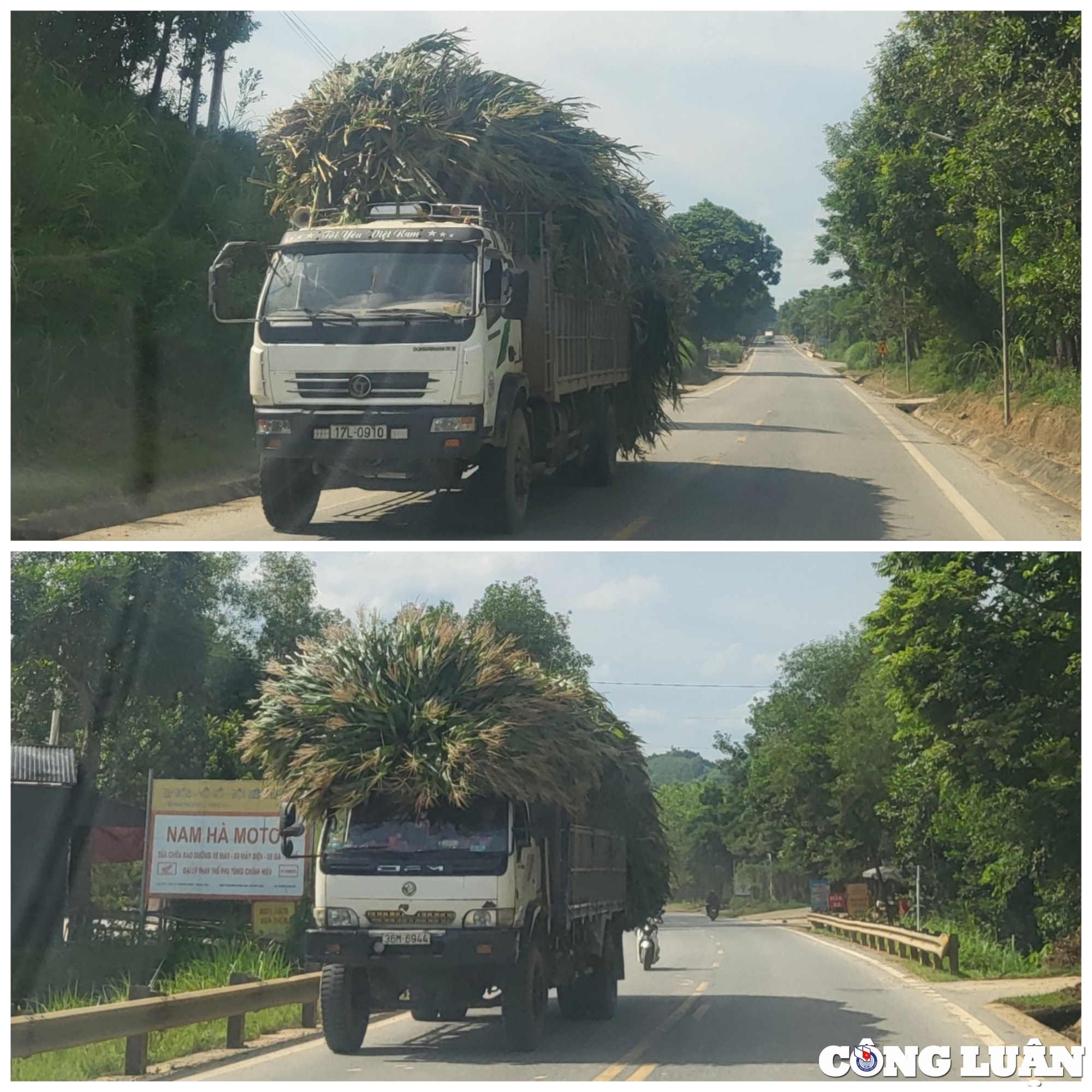 thanh hoa loat xe cho hang cong kenh luu thong tren duong mon hinh 2
