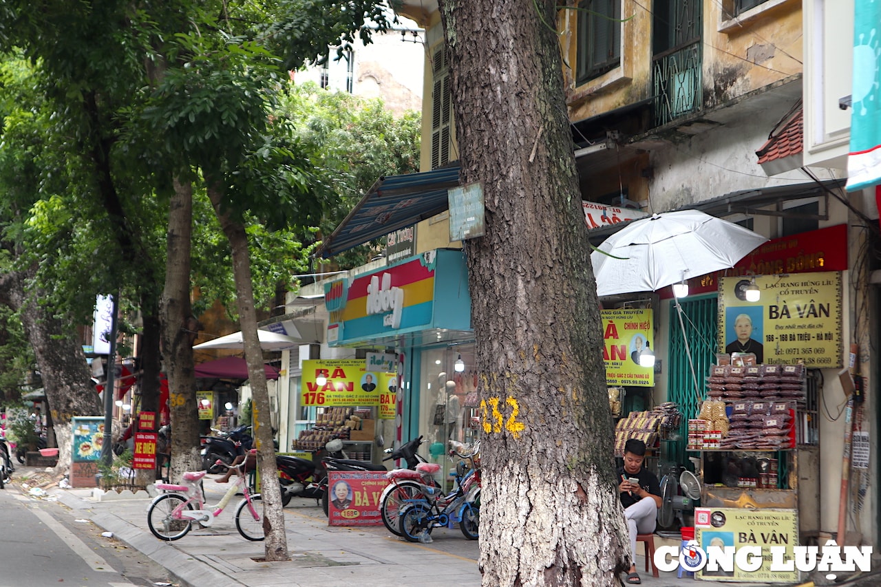 mon an dac biet khien con pho tai ha noi xuat hien nhieu ba van hinh 1
