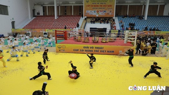 gan 3000 vdv tranh tai tai giai vo thuat cup tai nang tre viet nam 2023 hinh 7