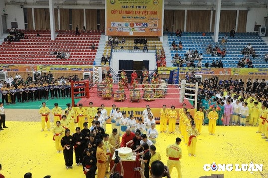 gan 3000 vdv tranh tai tai giai vo thuat cup tai nang tre viet nam 2023 hinh 9