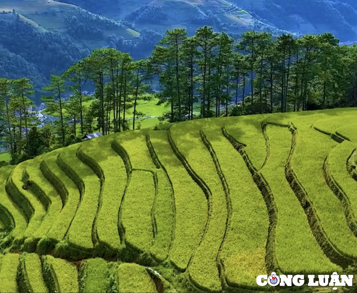 thang 9 ve mu cang chai ngam mua vang hinh 2