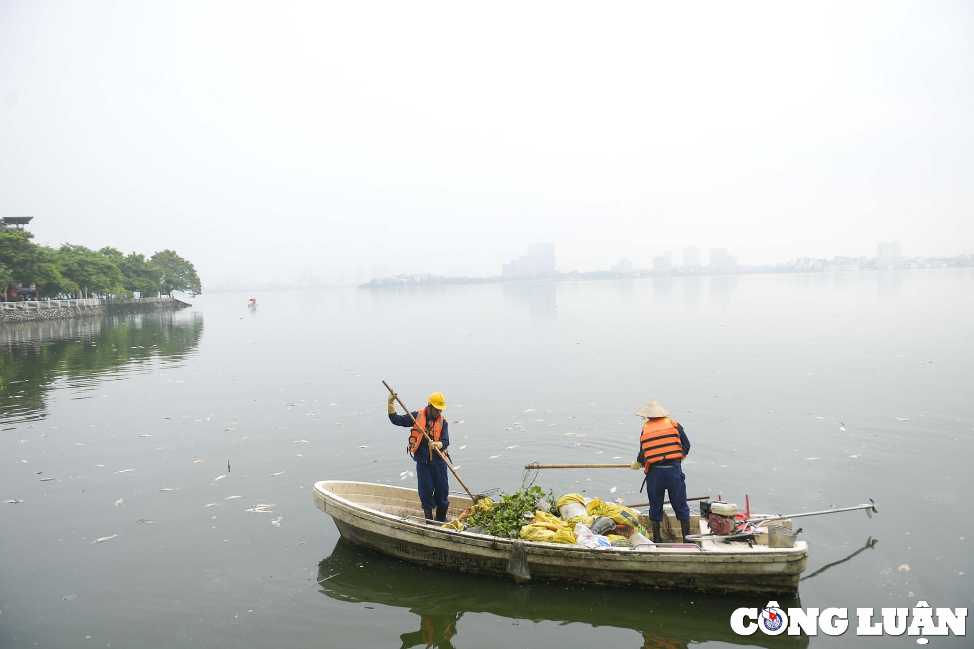 ho tay ha noi ca lai chet dat vao bo boc mui hoi thoi hinh 7
