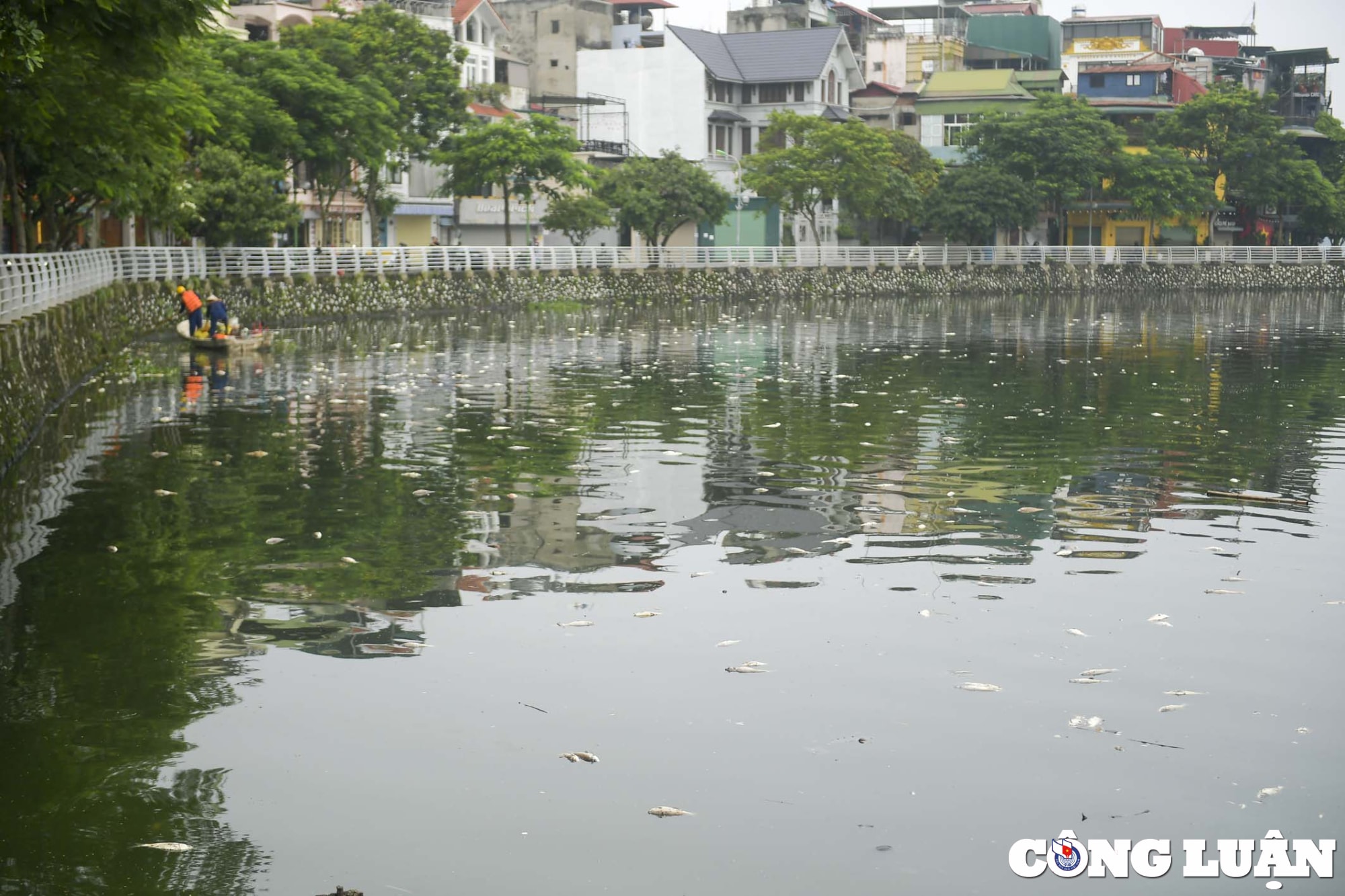 ho tay ha noi ca lai chet dat vao bo boc mui hoi thoi hinh 1