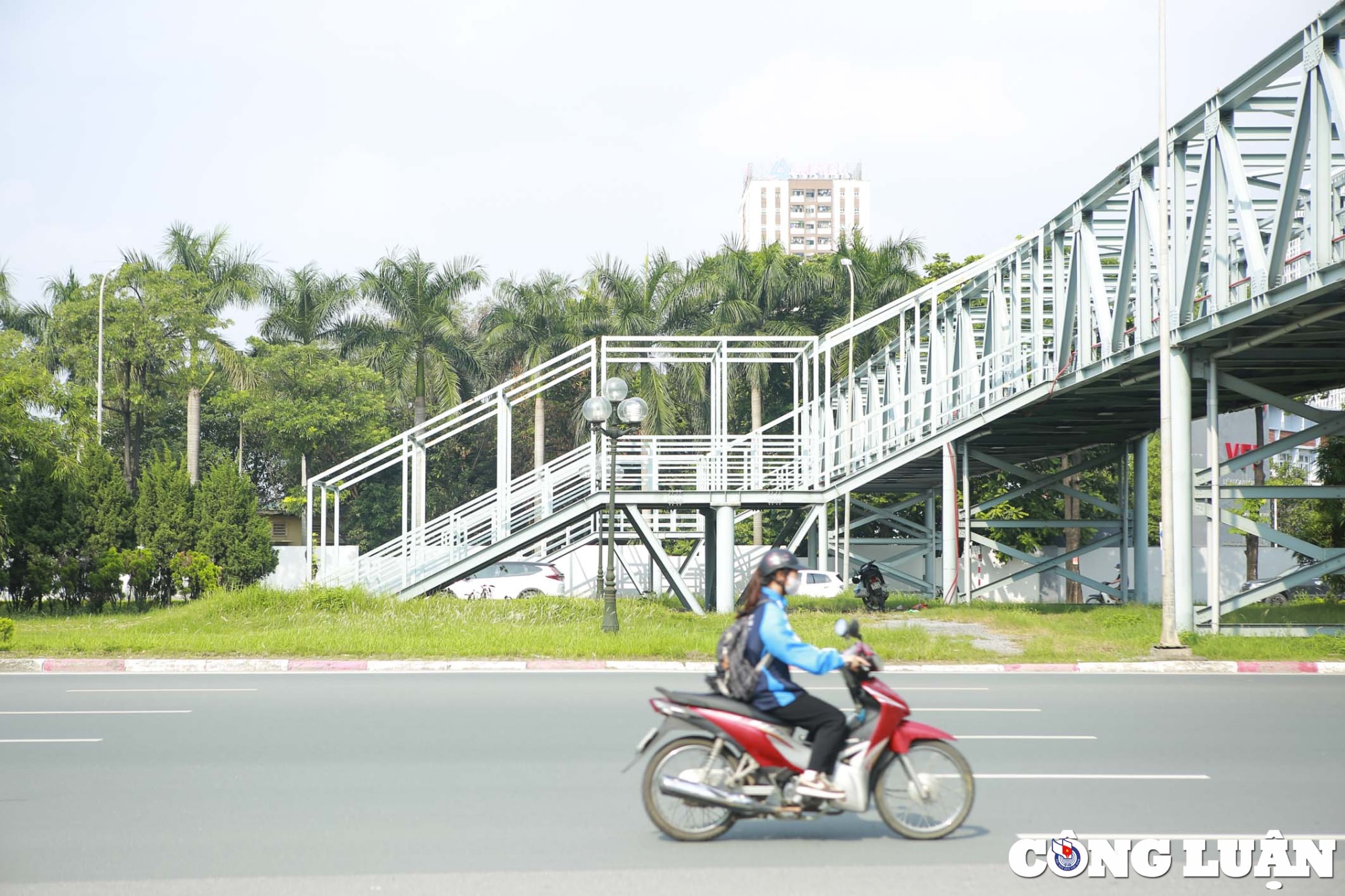 ha noi ky la cau vuot bo hanh dua nguoi di bo xuong vuon cay hinh 2