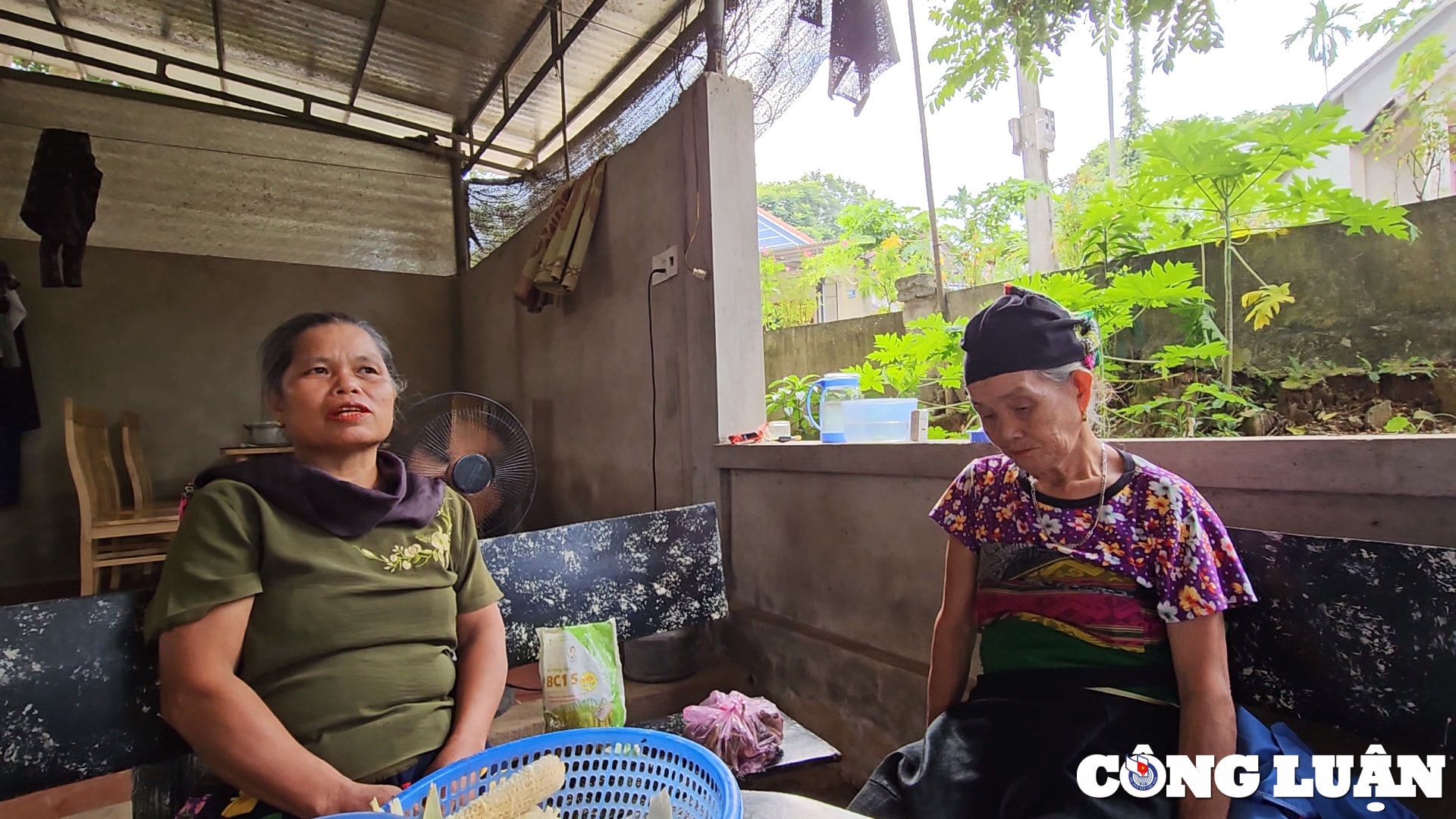 lang chanh thanh hoa trang trai lon phat sinh nhieu bat cap ve moi truong hinh 2