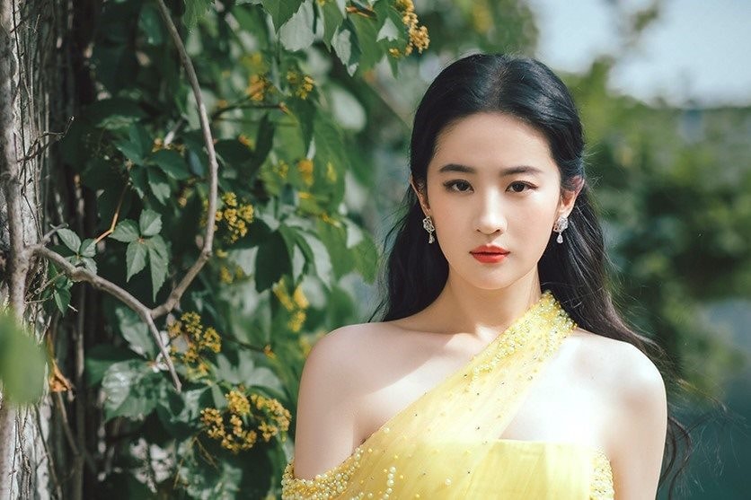 luu diec phi xinh dep gioi 5 ngoai ngu va so huu khoi tai san khung hinh 1