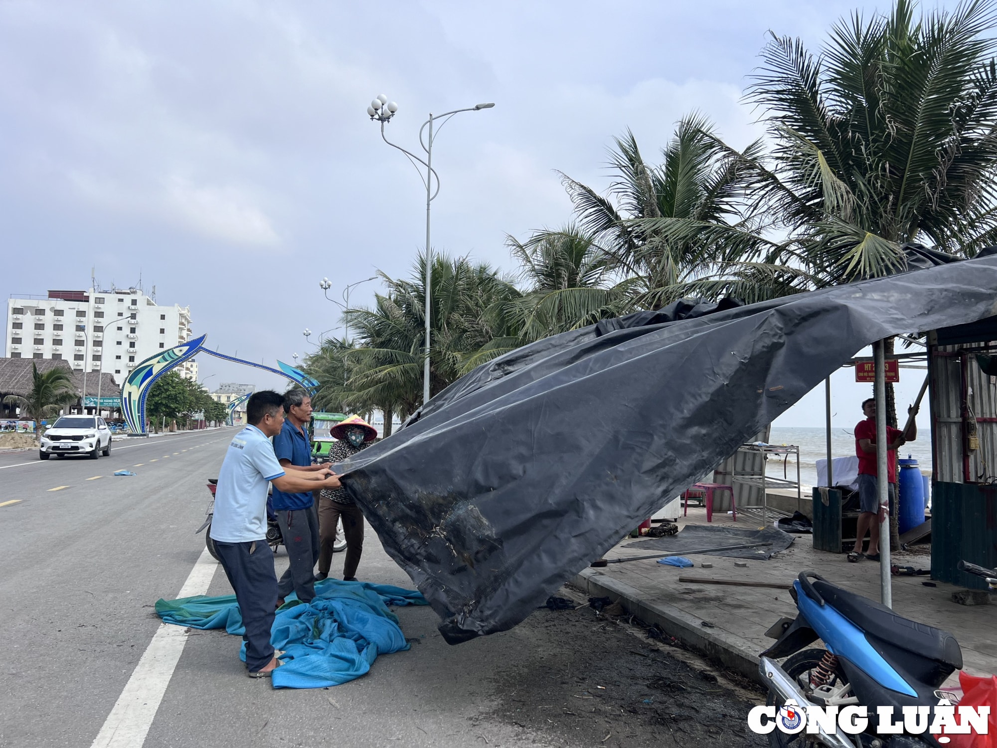 thao do nhieu leu bat tai khu du lich bien hai tien thanh hoa hinh 1